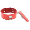 Generique Collier et Laisse Pin Lock Rouge